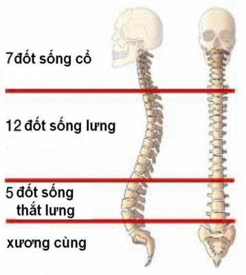 20190820 070319 286207 Cau Tao Cua Cot Son.max 1800x1800