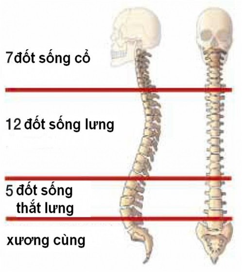 20190820 070319 286207 Cau Tao Cua Cot Son.max 1800x1800